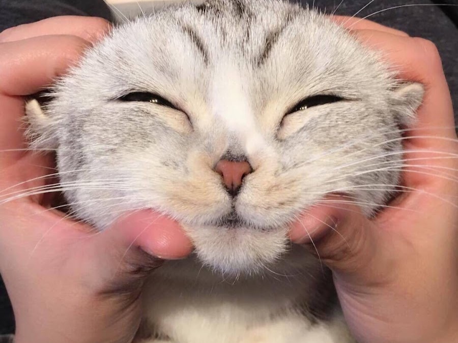 AI generated image