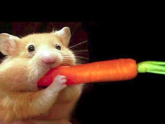 AI generated image